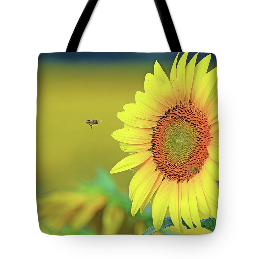  Tote Bag featuring the photograph A Bee Flying toward a Sunflower by Shixing Wen