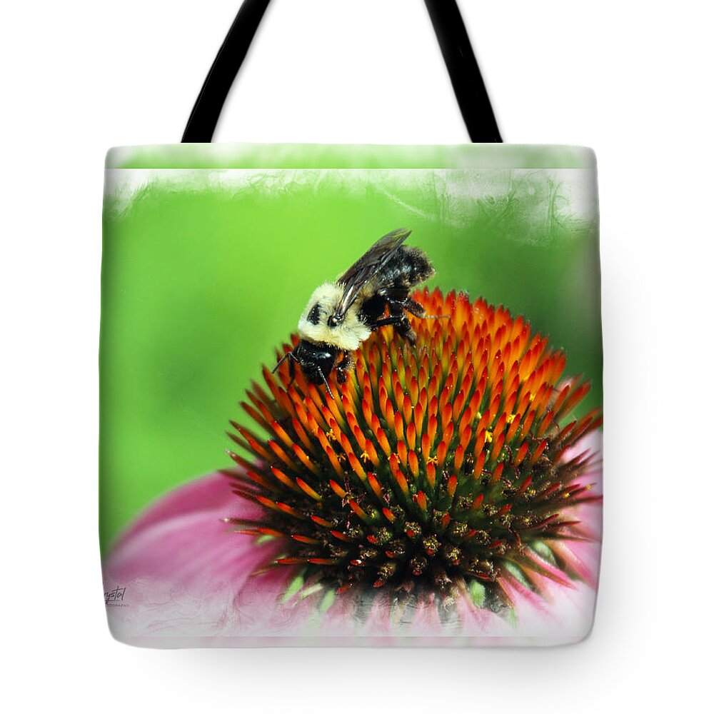 Cone Flower Tote Bag featuring the photograph A Bee Yootiful Thing by Rene Crystal