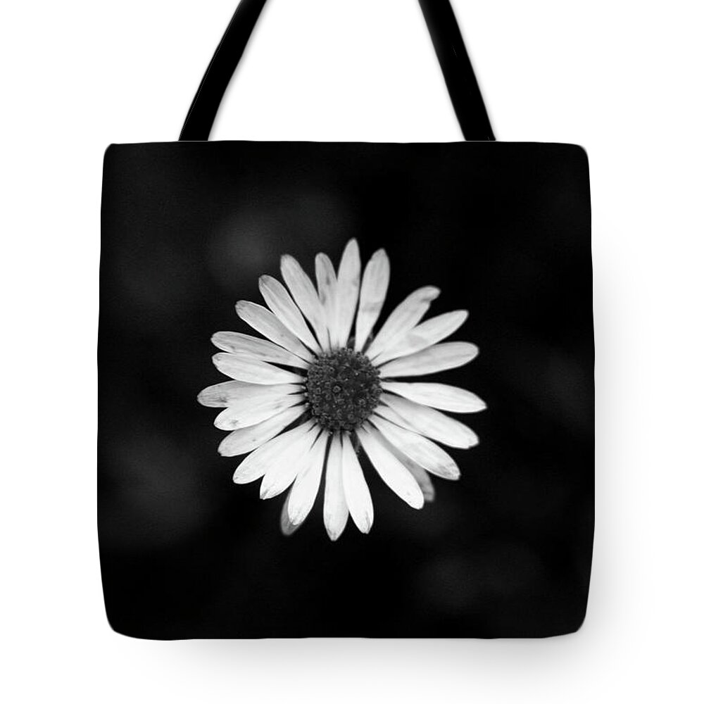 Bellis Perennis Tote Bag featuring the photograph Black and white bloom of bellis perennis by Vaclav Sonnek