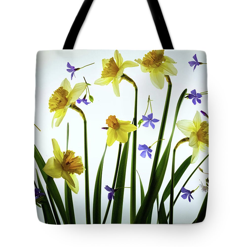 Daffodils Tote Bag featuring the photograph A Breath of Spring by William Fields