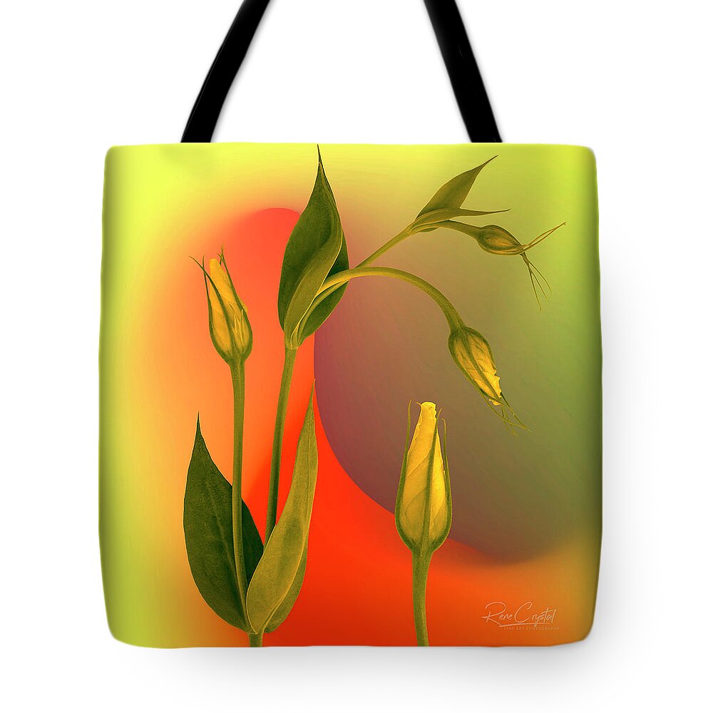 Lisianthus Tote Bag featuring the photograph A Budding Relationship by Rene Crystal
