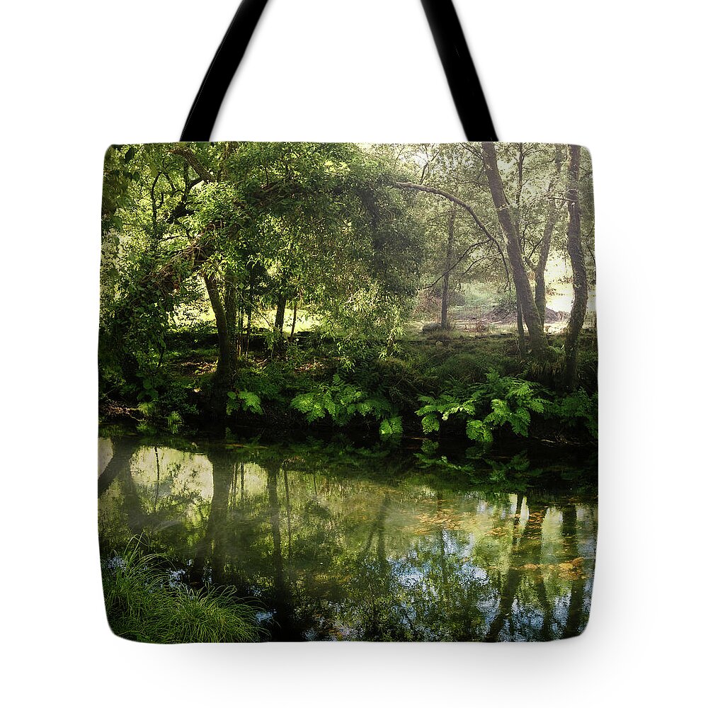 River Tote Bag featuring the photograph A Calzada River Beach 1 by Micah Offman