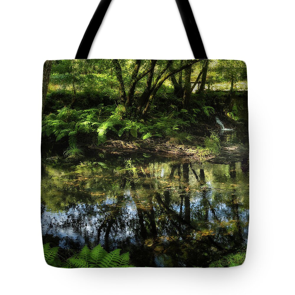 River Tote Bag featuring the photograph A Calzada River Beach 2 by Micah Offman