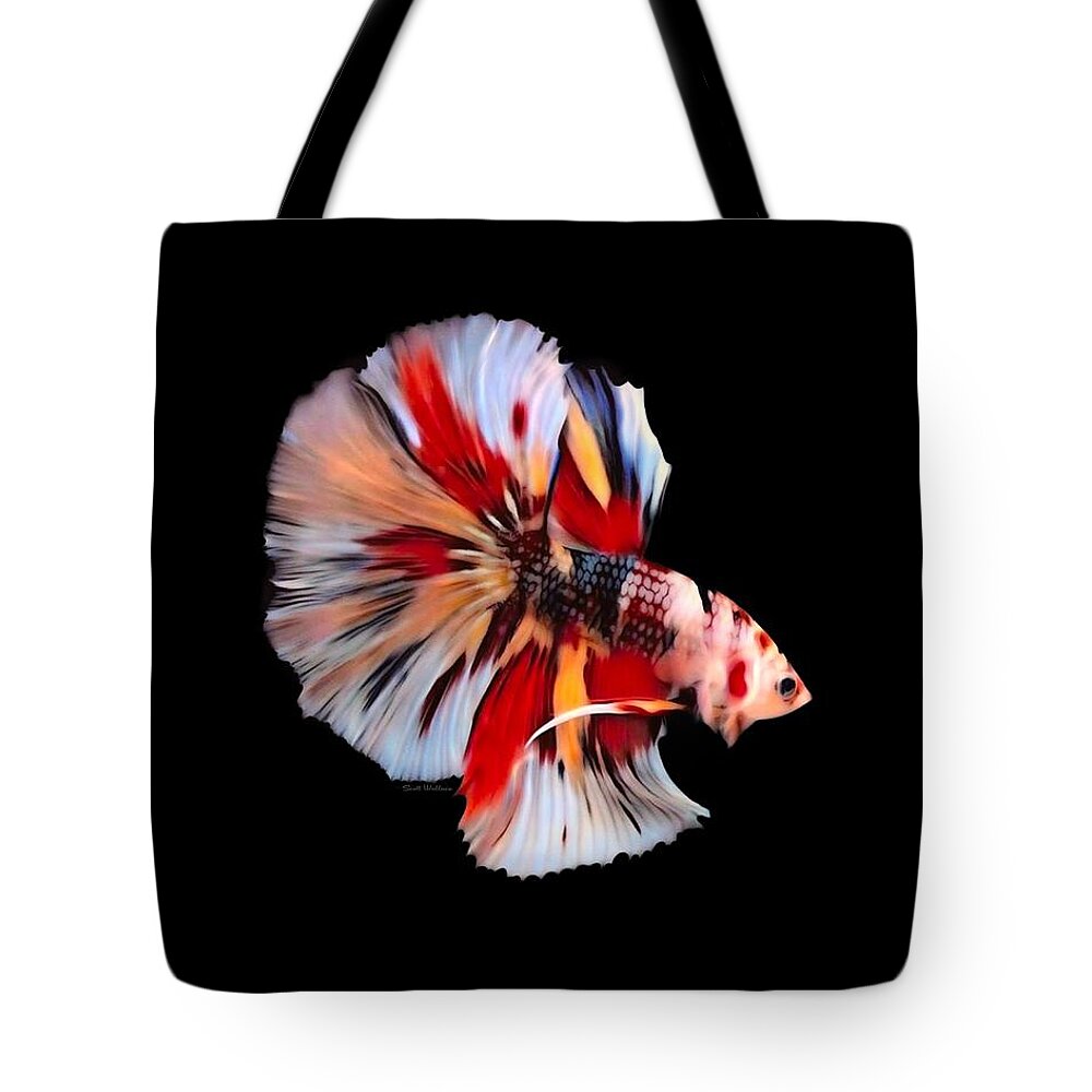 Candy Koi Rosetail Betta Fish On Black Background Tote Bag by