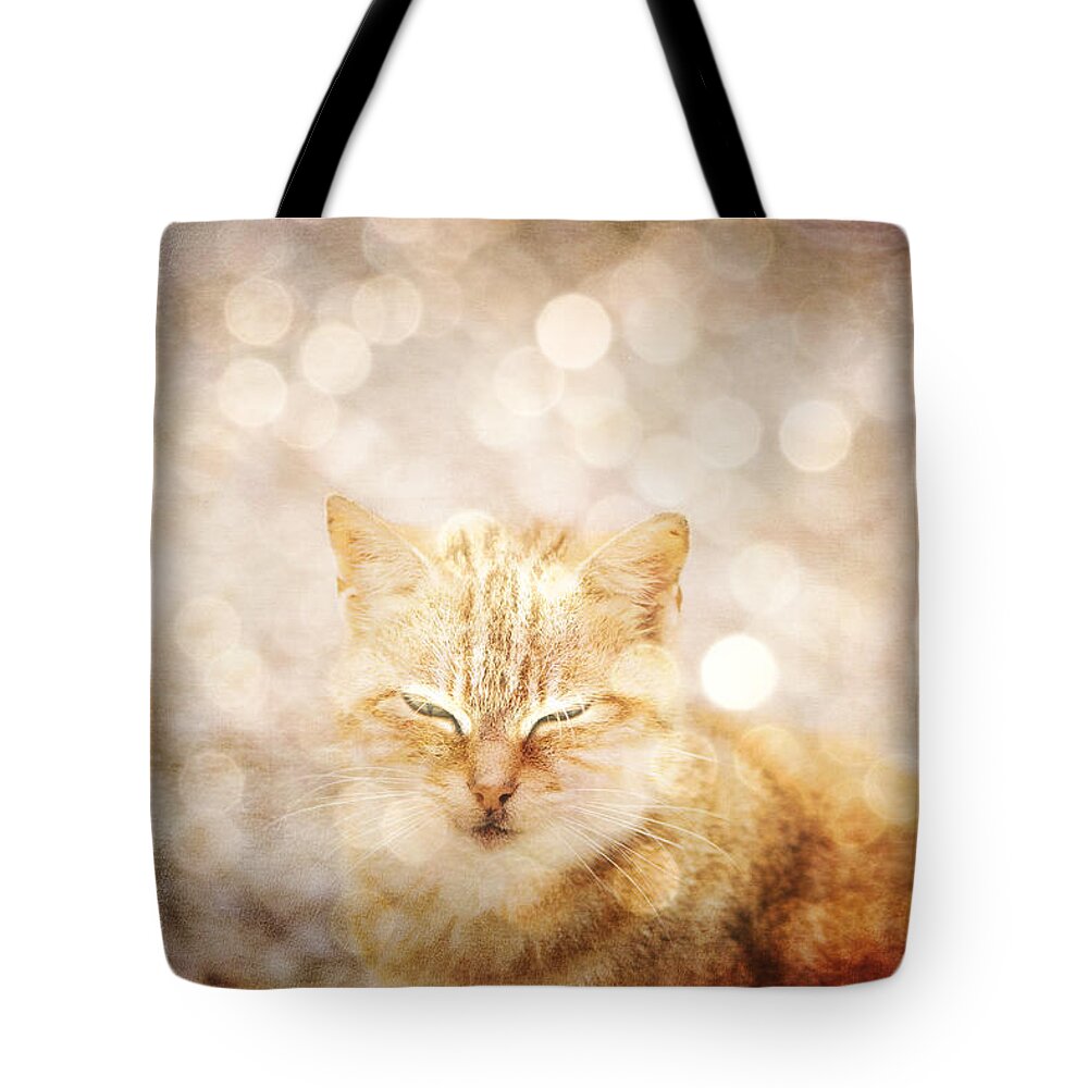 Cat Tote Bag featuring the photograph A cat dream by Yasmina Baggili