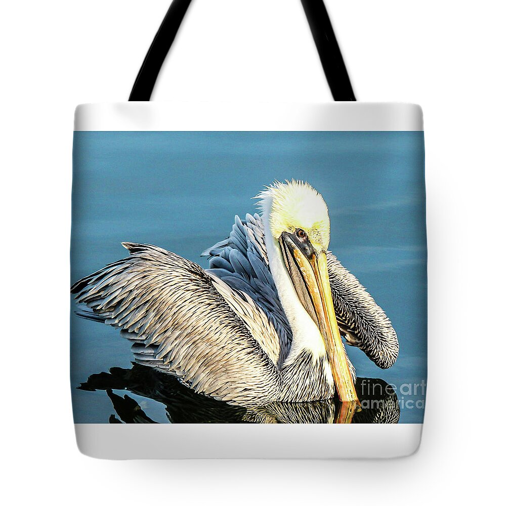 Brown Pelican Tote Bag featuring the photograph A Coastal Beauty by Joanne Carey
