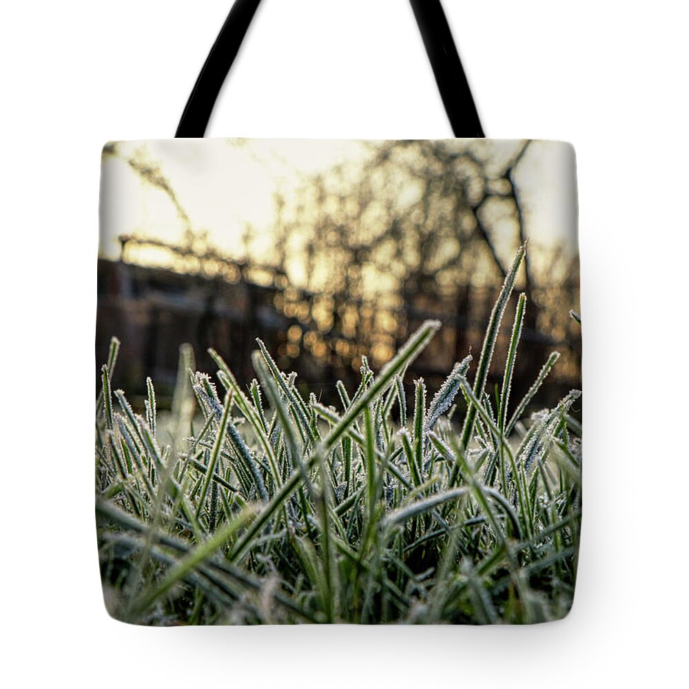 Environment Tote Bag featuring the photograph Cold ground with stem of grass by Vaclav Sonnek