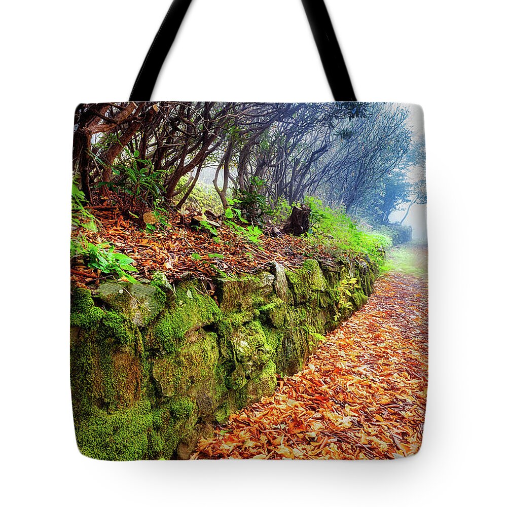 Autumn Tote Bag featuring the photograph A Colorful Autumn Hike by Dan Carmichael