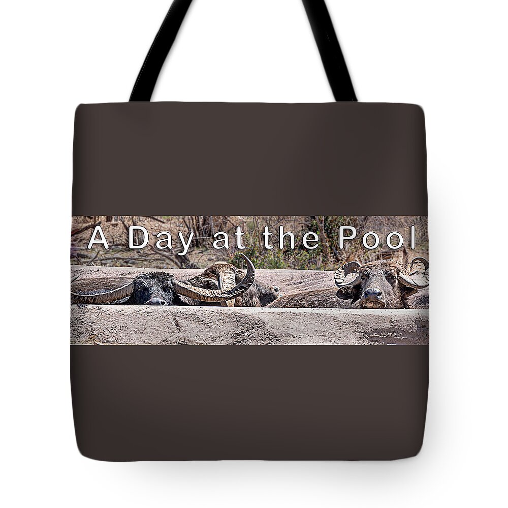  Tote Bag featuring the photograph A Day at the Pool by Al Judge