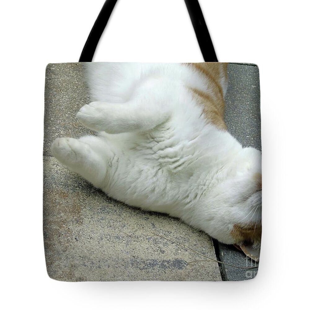 Cat Tote Bag featuring the photograph A Different Look At Life by D Hackett