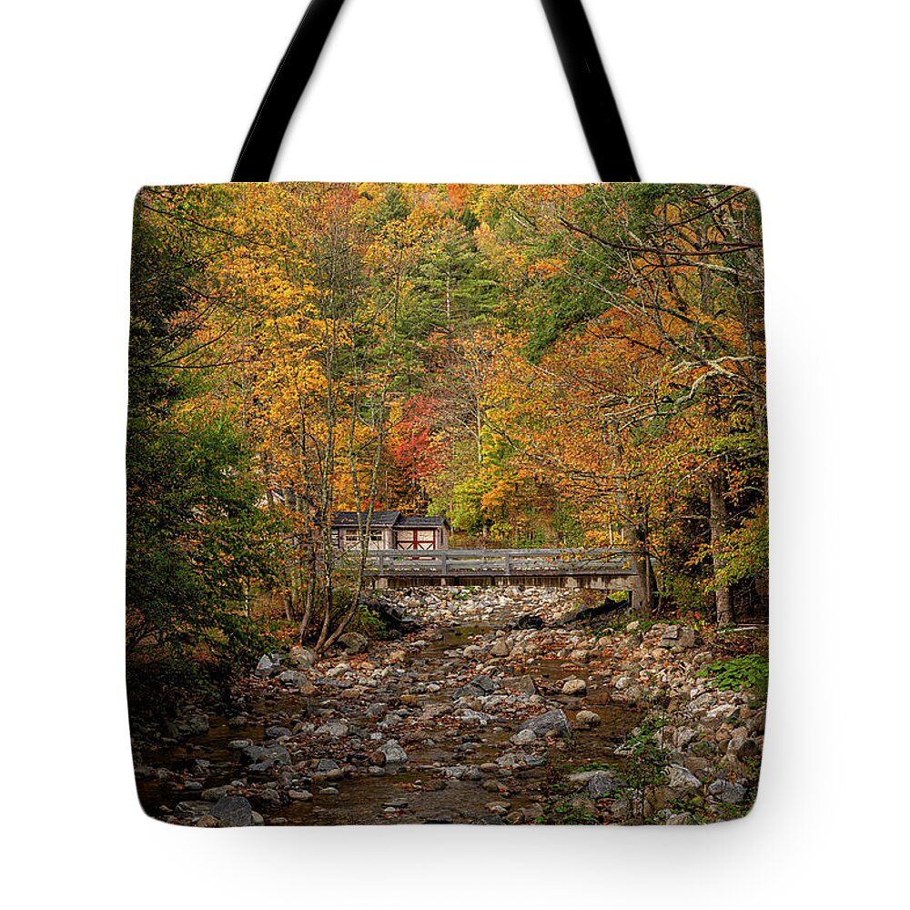 Fall Tote Bag featuring the photograph A Fall scene by Mark Papke