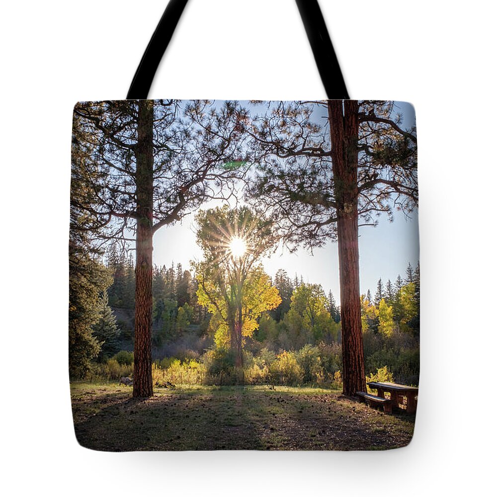 Colorado Tote Bag featuring the photograph A Fine Evening for a Picnic in Southern Colorado by Mary Lee Dereske