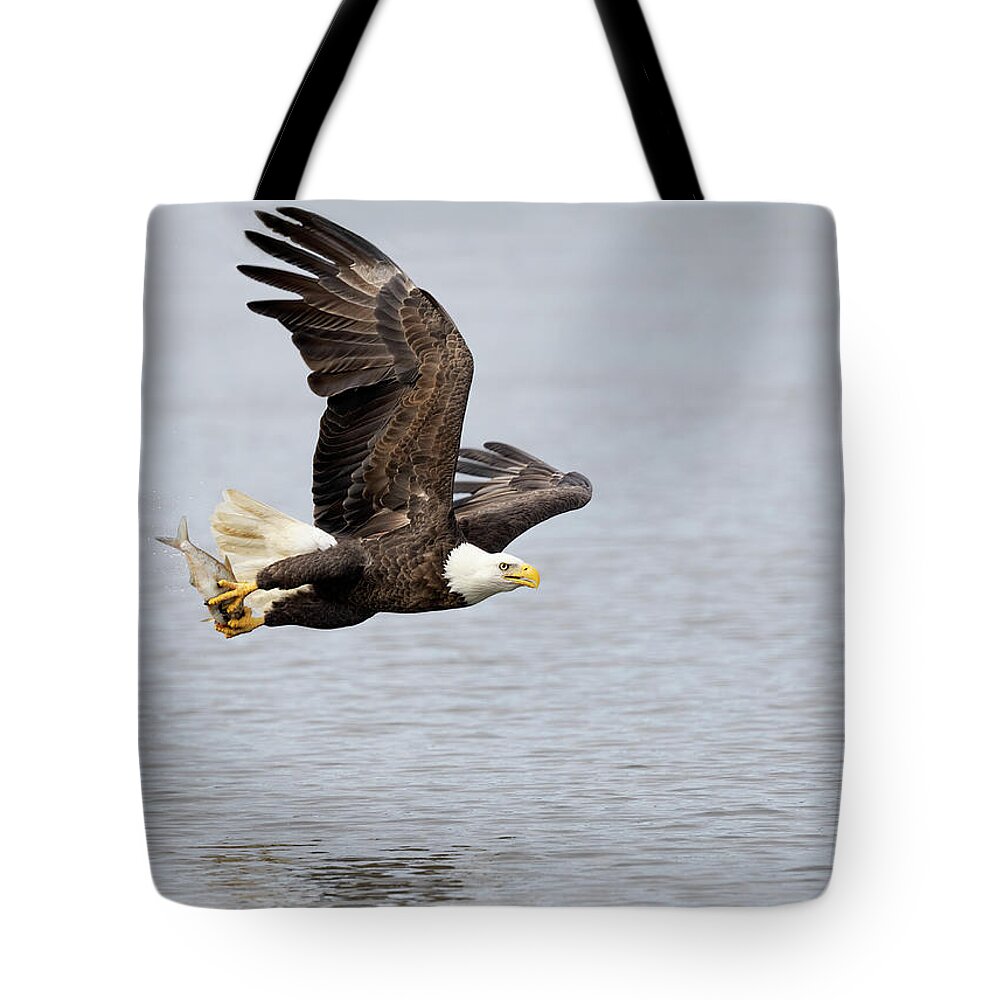 Eagle Tote Bag featuring the photograph A Fish Flier by Art Cole