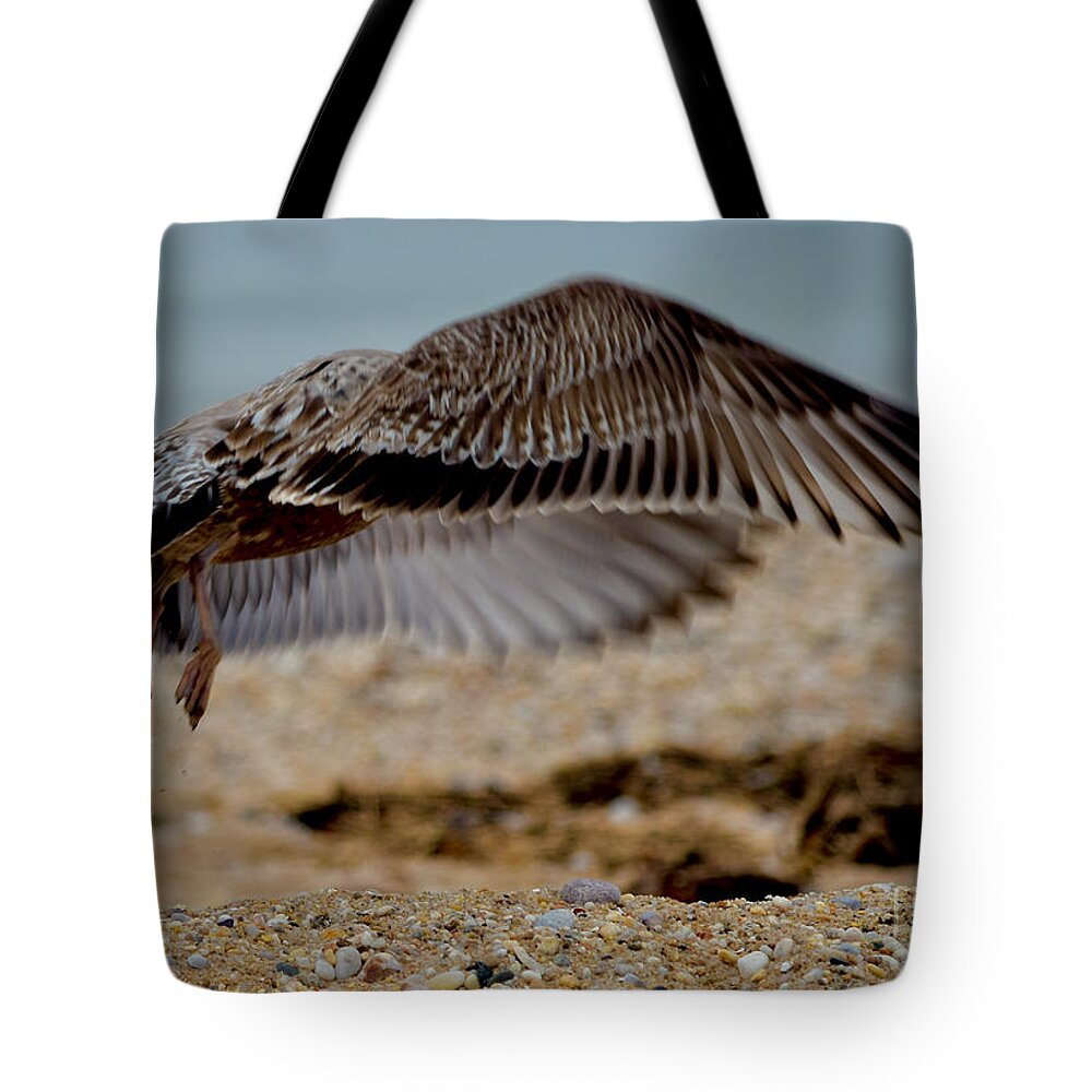 Bird Tote Bag featuring the photograph A Fledgling's Wings by Debra Banks