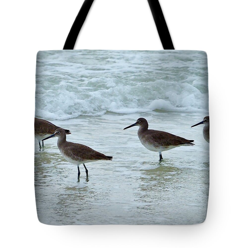 Willet Tote Bag featuring the photograph A Flock of Willets on the Beach on Honeymoon Island by L Bosco