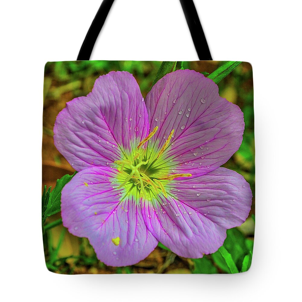 Flower Tote Bag featuring the photograph Showy Evening Primrose of Texas by James C Richardson