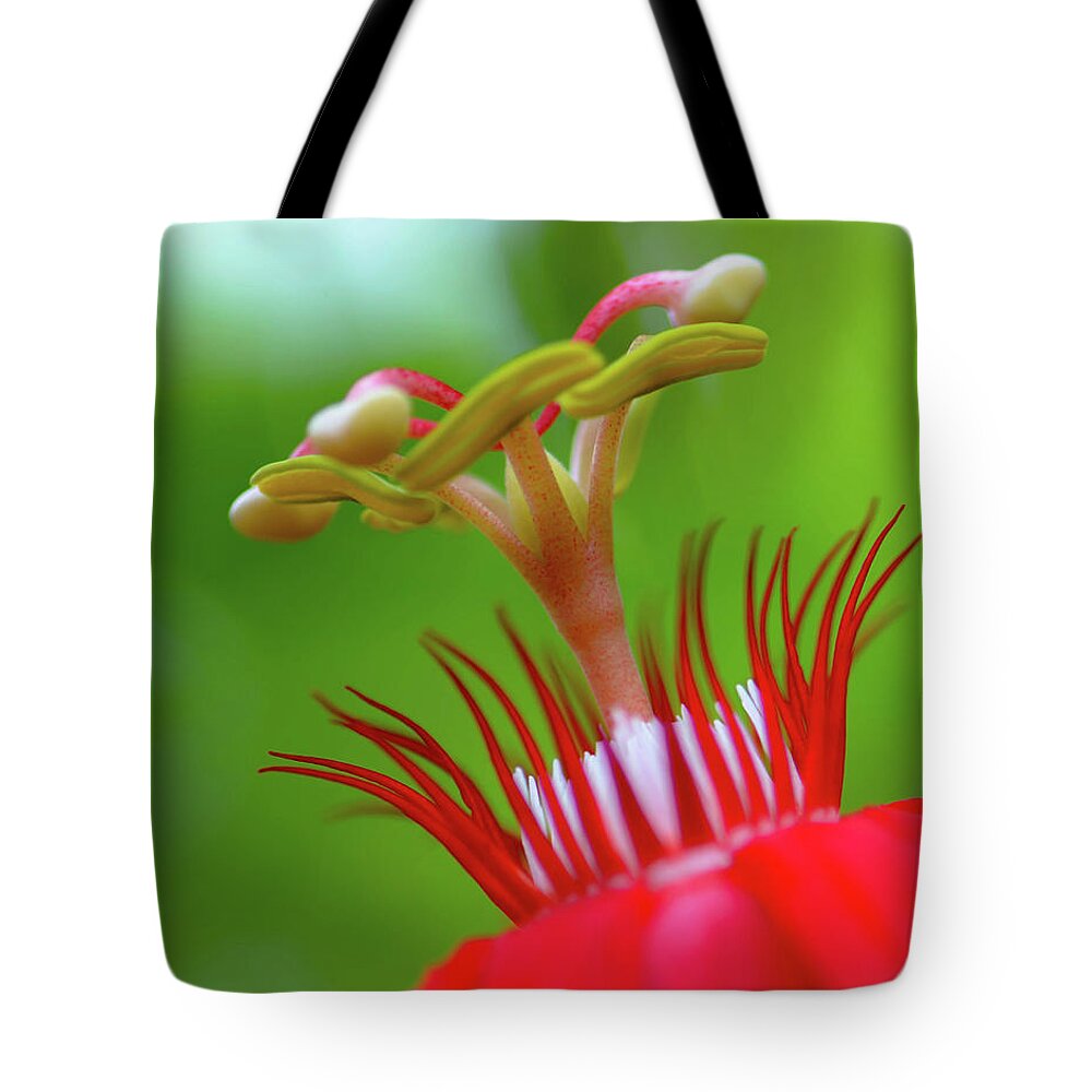 Stamen Tote Bag featuring the photograph A Flower's Eyelashes by Debra Kewley