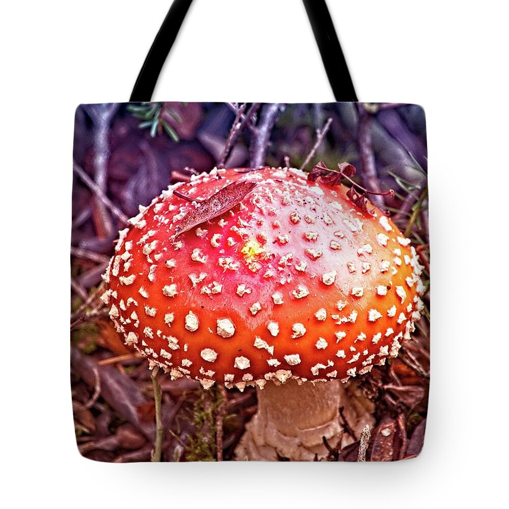 Amanita Muscaria Tote Bag featuring the photograph A Fungus Among Us by David Desautel
