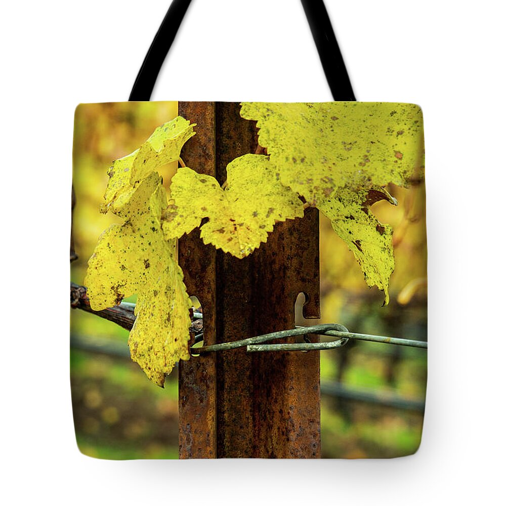 Golden Tote Bag featuring the photograph A Golden Vine by Leslie Struxness