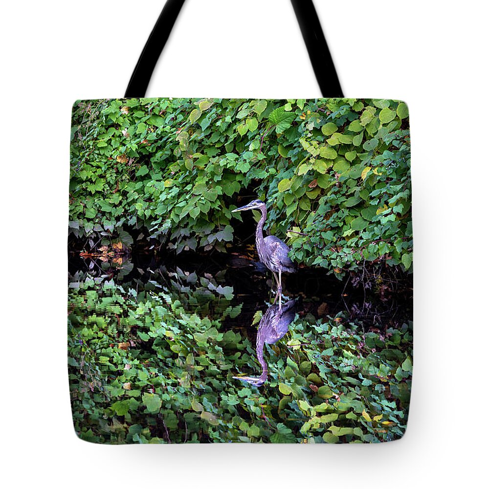 Bronx River Tote Bag featuring the photograph A Great Blue Heron and Its Refection by Kevin Suttlehan