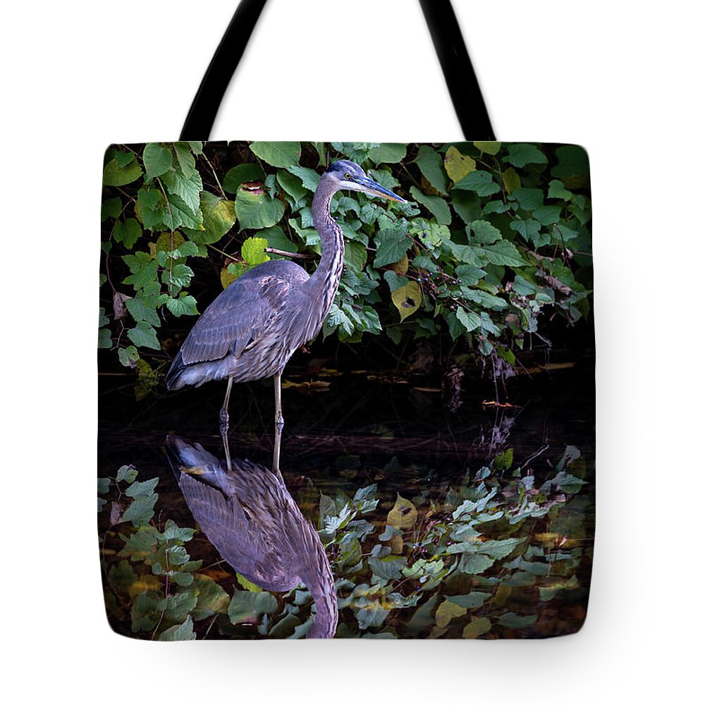 Bronx River Tote Bag featuring the photograph A Great Blue Heron and Its reflection in the Bronx River by Kevin Suttlehan