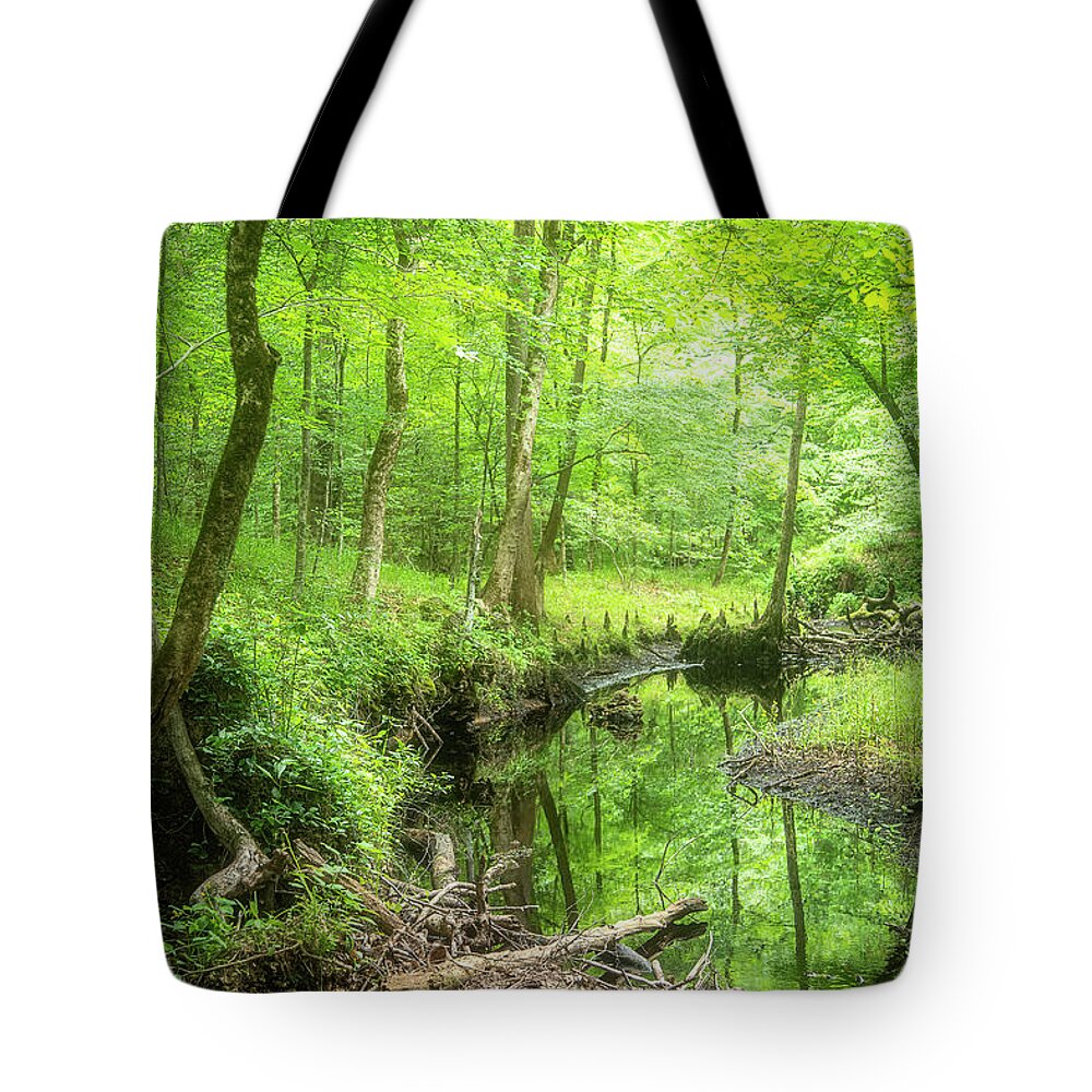 Croatan National Forest Tote Bag featuring the photograph A Green Spring View in the Forest by Bob Decker