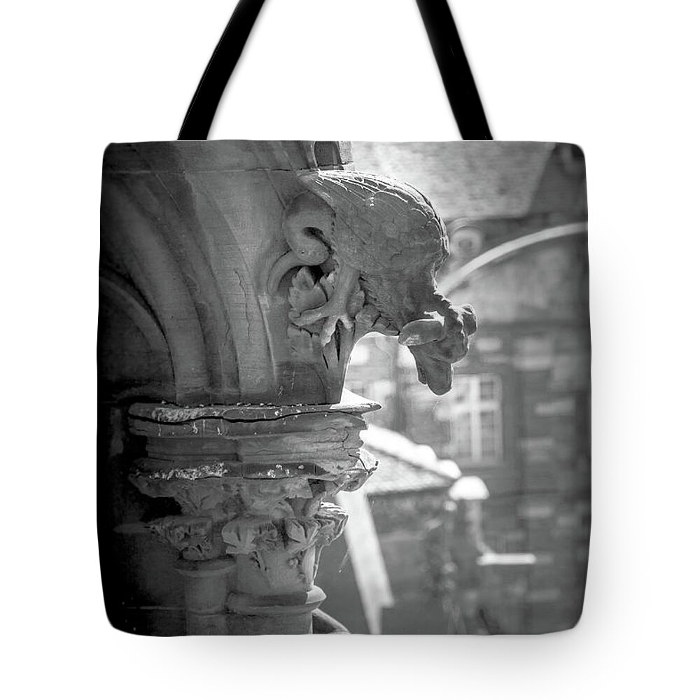 Architecture Tote Bag featuring the photograph A Grotesque in Strasbourg - 1 by W Chris Fooshee