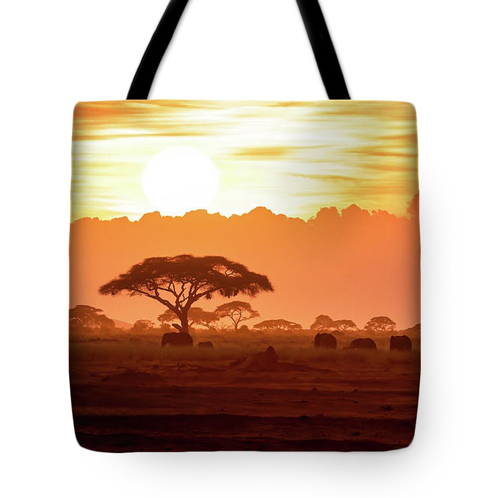Sunset Tote Bag featuring the photograph A herd of African elephants walking in Amboseli at sunset by Jane Rix