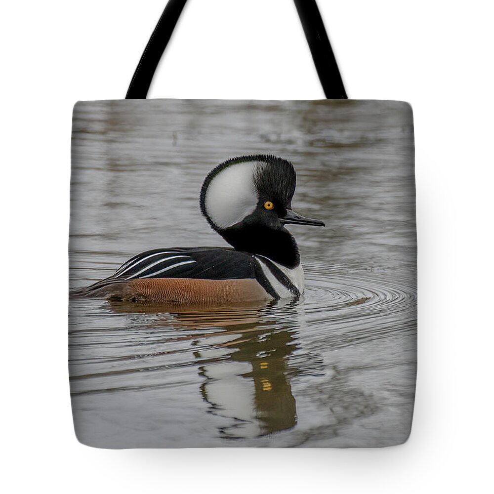 Hooded Merganser Tote Bag featuring the photograph A Hoodie by Jerry Cahill