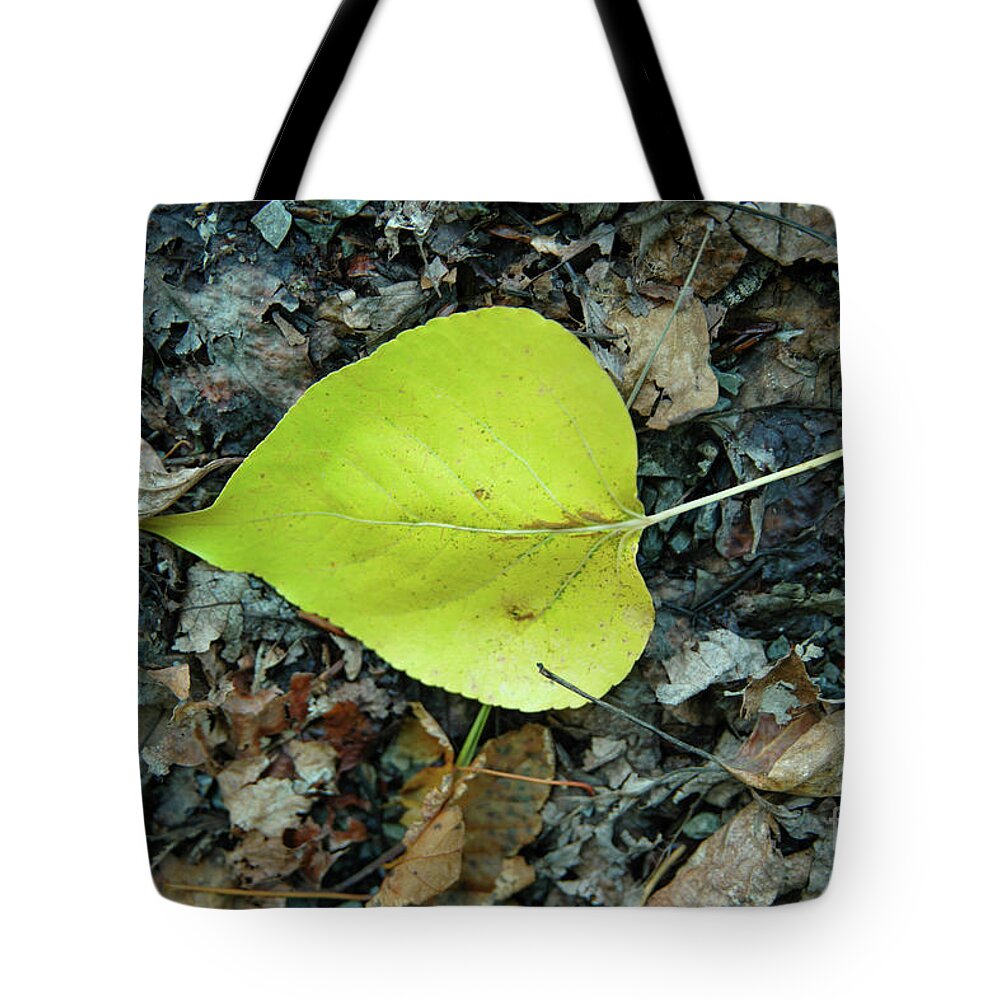 Leaf Tote Bag featuring the photograph A Leaf On The Ground by Jeff Swan
