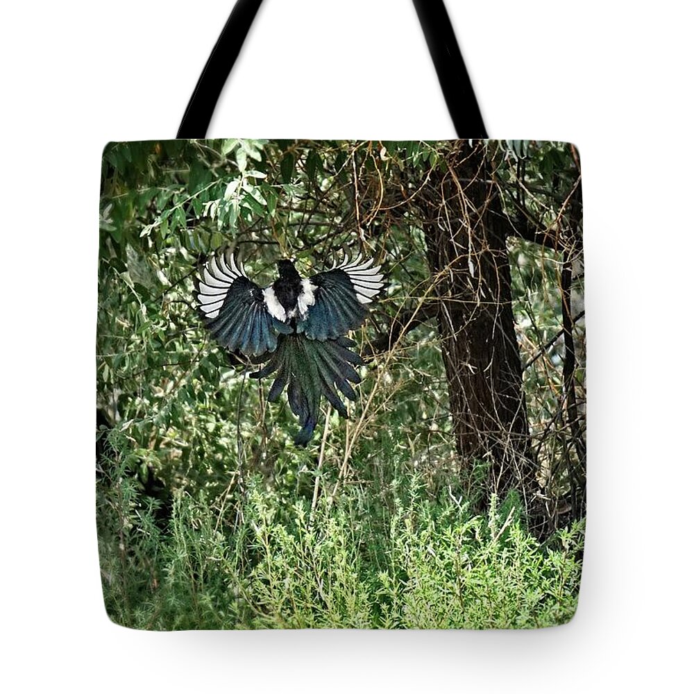 Awe Tote Bag featuring the photograph A Leap Of Faith by David Desautel
