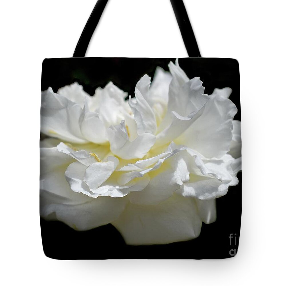Rose Tote Bag featuring the photograph A Life Of One English Rose 2 by Leonida Arte