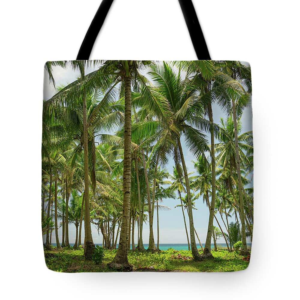 Paradise Tote Bag featuring the photograph A Little Ocean Blue by James BO Insogna
