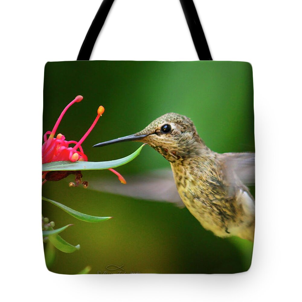 Wildlife Tote Bag featuring the photograph A Little Tickle by Brian Tada