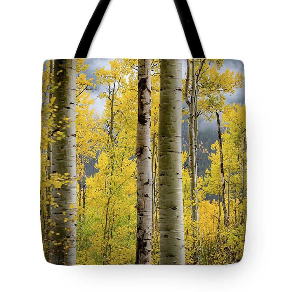 2016 Tote Bag featuring the photograph A Little Touch of Fall by Tim Stanley