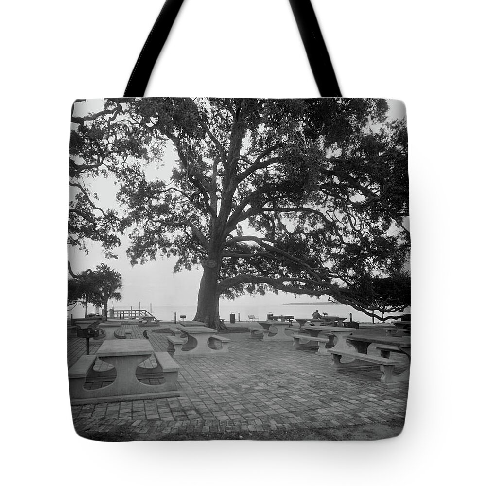 Atlantic Ocean Tote Bag featuring the photograph A man and his dog in Neptune Park by John Simmons