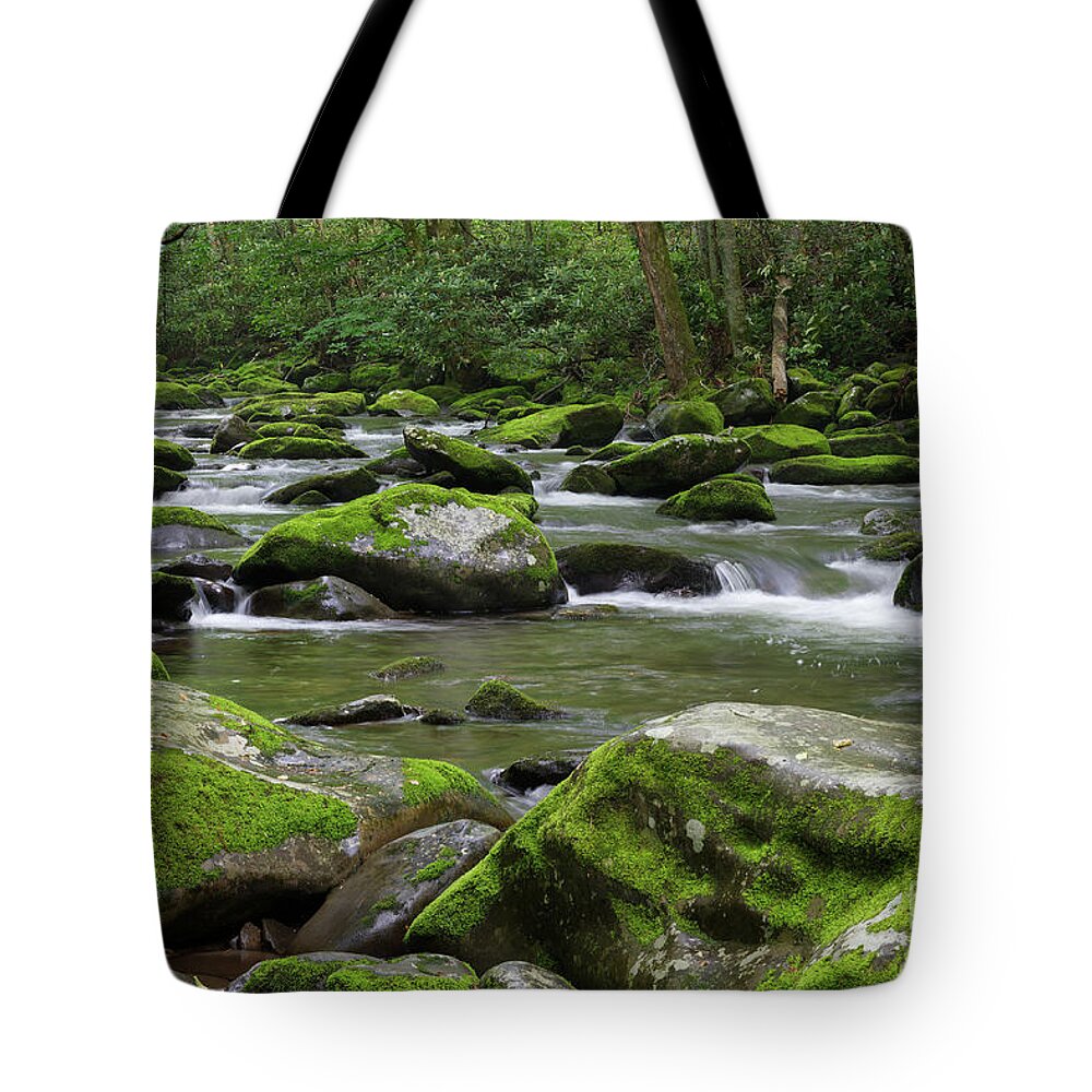 Smokies Tote Bag featuring the photograph A Maze of Moss by Phil Perkins