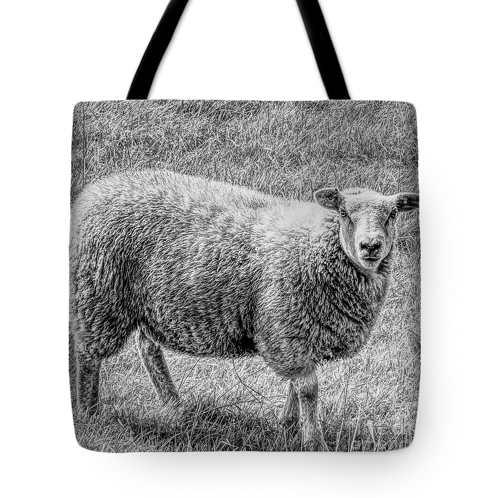 Monochrome Tote Bag featuring the photograph A monochrome sheep by Pics By Tony
