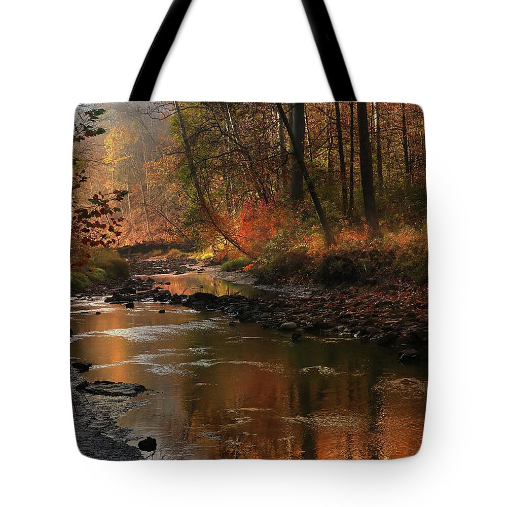  Tote Bag featuring the photograph A Natural Chiaroscuro by Rob Blair