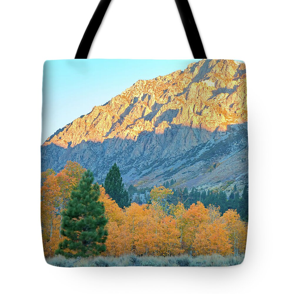 Fall Tote Bag featuring the photograph A New Day by Jonathan Nguyen