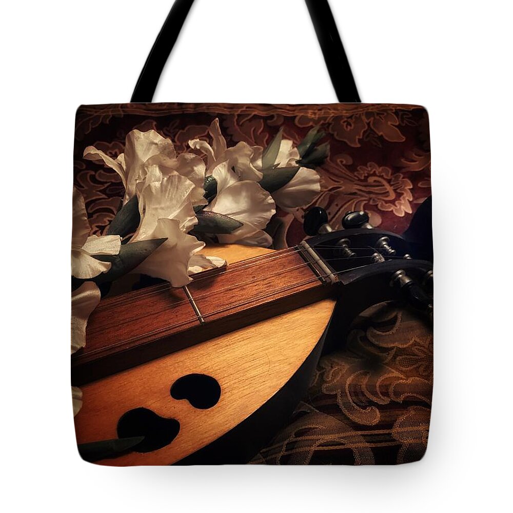 Dulcimer Tote Bag featuring the photograph A Night In by Kathryn Alexander MA