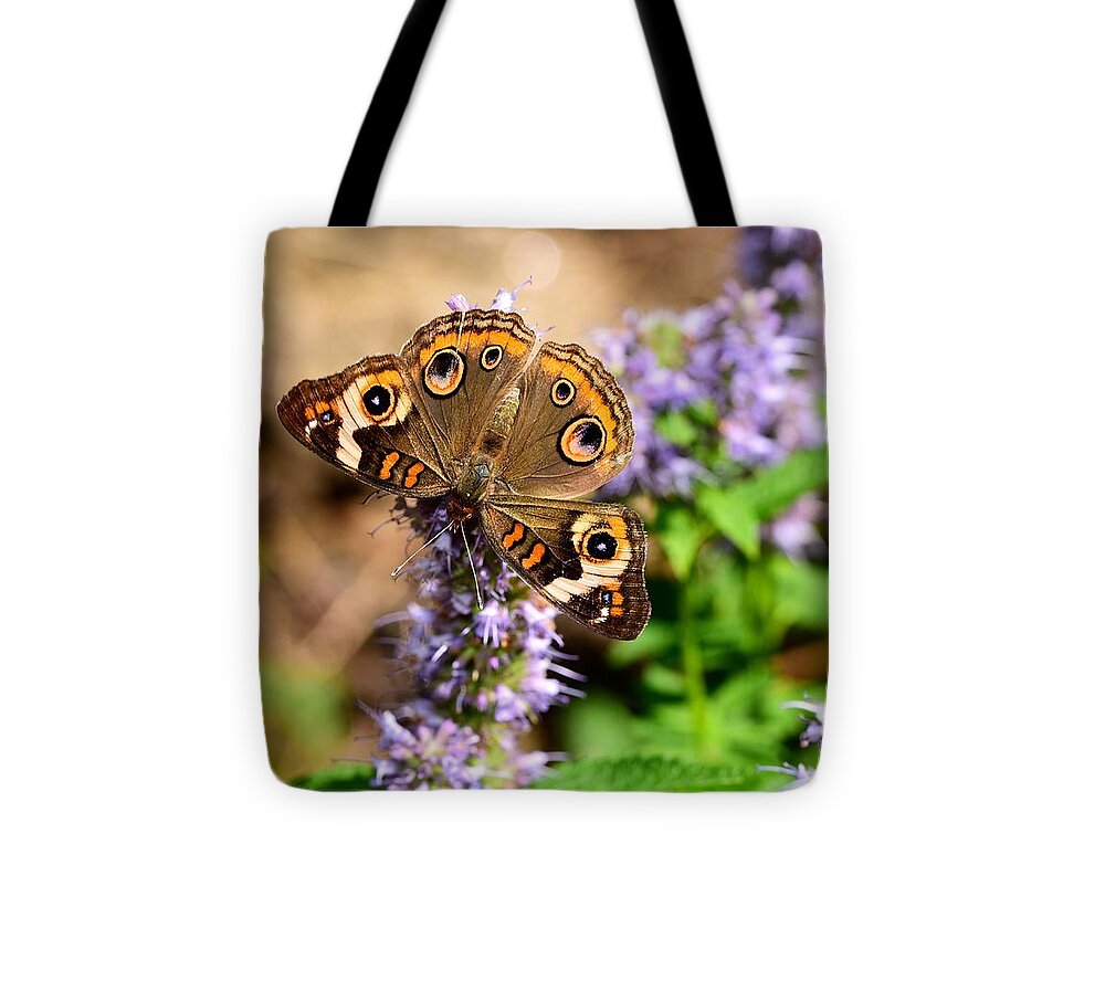 Buckeye Butterfly Tote Bag featuring the photograph A not-so-common Buckeye by Lynn Hunt