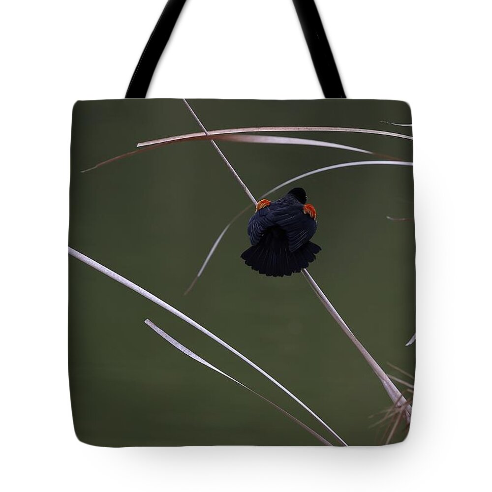 Black Bird Tote Bag featuring the photograph A Painting with Just a Few Strokes by Mingming Jiang
