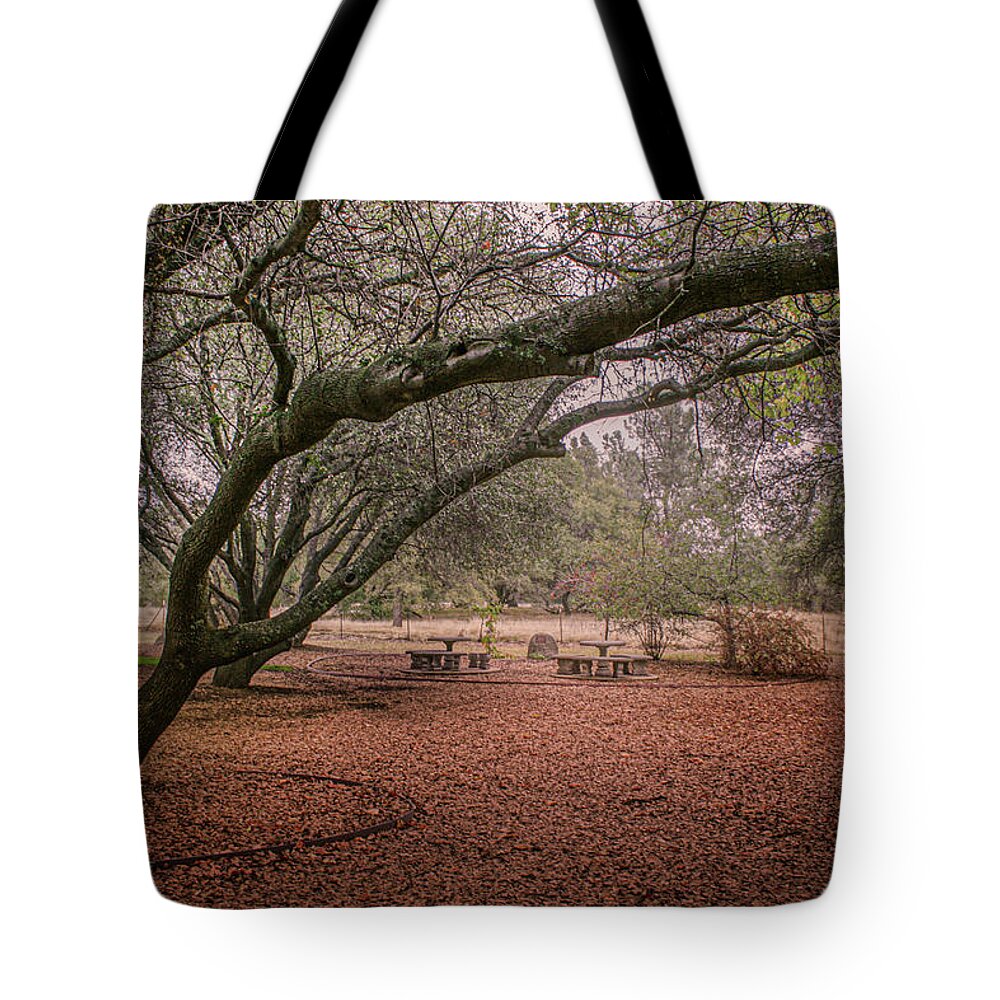 Park Tote Bag featuring the photograph A Park at Loomis Library by Sally Bauer