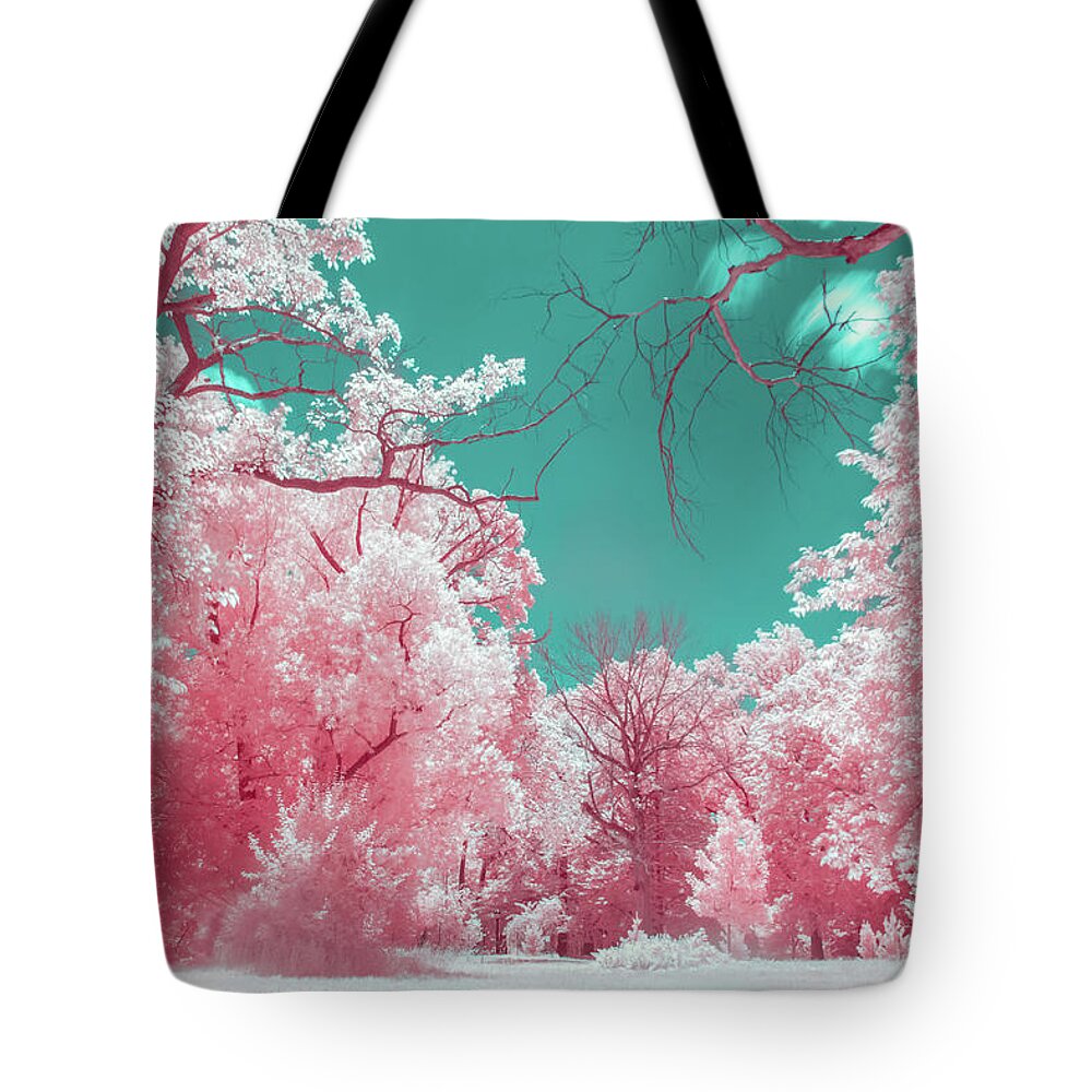 Pink Tote Bag featuring the photograph A Park in Pink by Auden Johnson