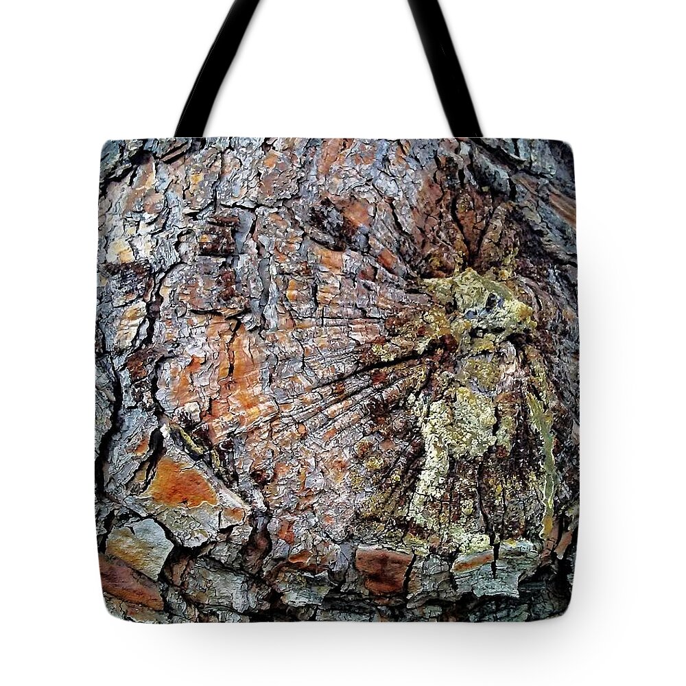 Tree Tote Bag featuring the photograph A Pattern of Barking by Andrew Lawrence