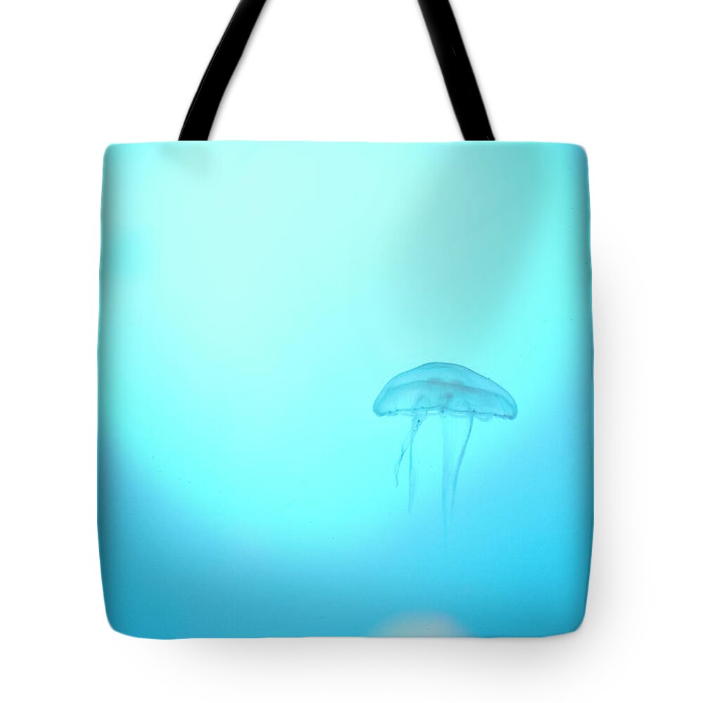 Jellyfish Tote Bag featuring the photograph A peaceful floating jellyfish by Maria Dimitrova