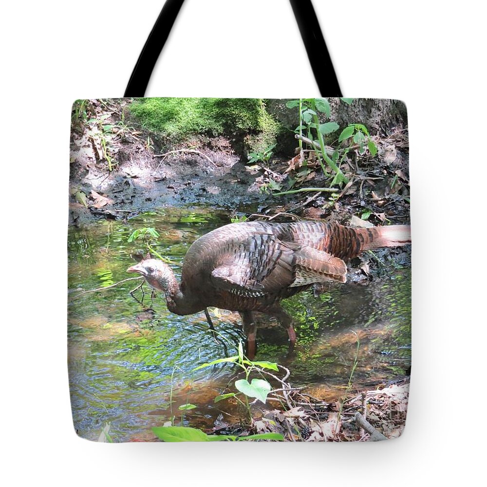 Turkey Tote Bag featuring the photograph A Peaceful Stroll by World Reflections By Sharon