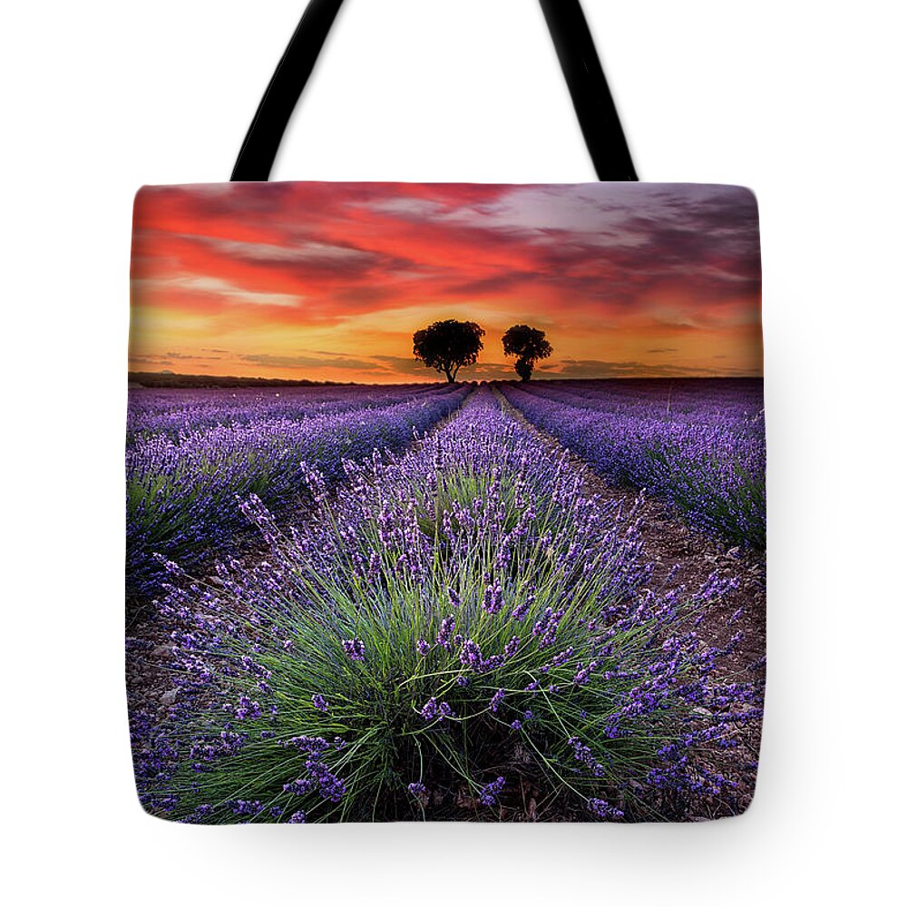 Landscape Tote Bag featuring the photograph A place to dream by Jorge Maia