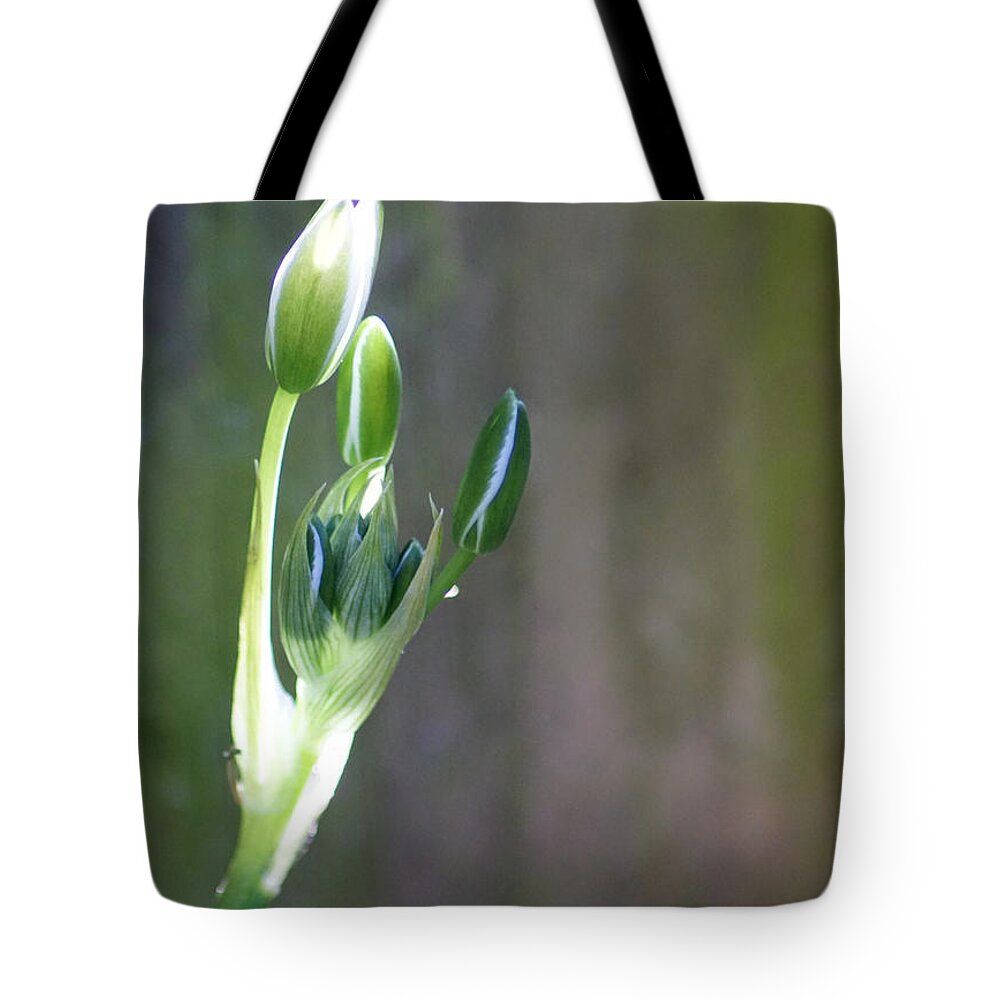 Nature Tote Bag featuring the photograph A Pretty Flower To Be by Jolly Van der Velden